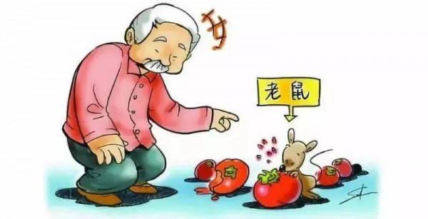 病人發熱原因查不出?老主任:問問家屬家裡有沒有鬧耗子 病人發熱原因查不出?老主任:問問家屬家裡有沒有鬧耗子