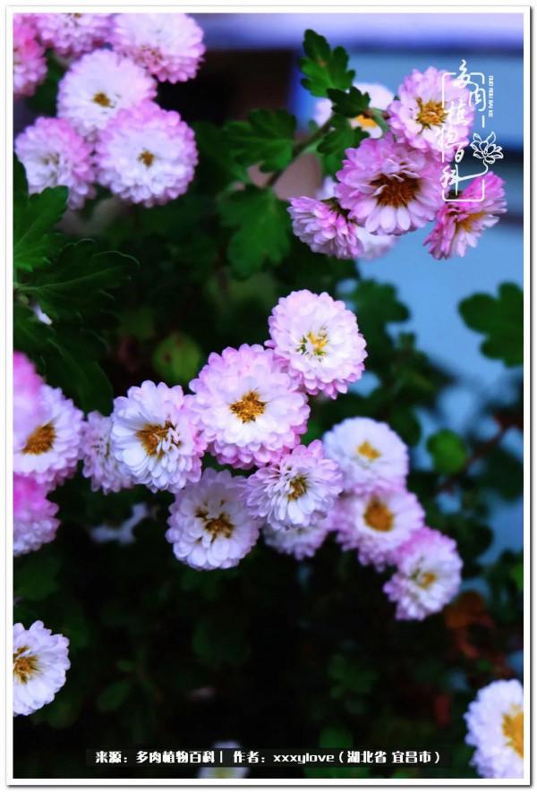 時光匆匆，一閃而逝，這世間萬物的美，都值得被記錄