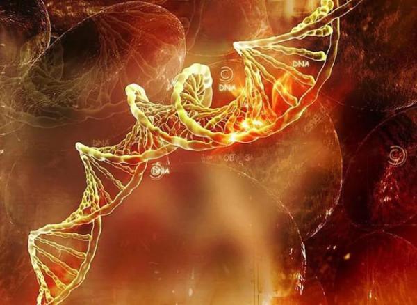 野生動物也會雜交，其後代有多慘？是否該禁止動物雜交？