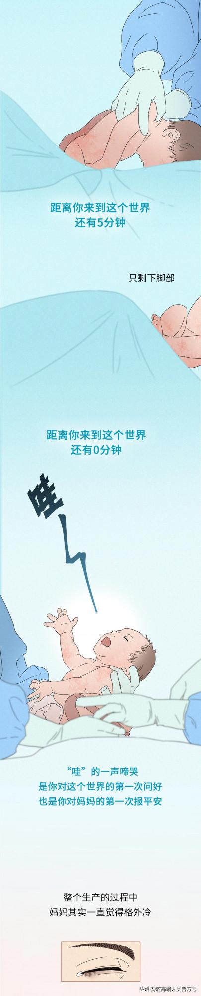 你出生前的24小時,都經歷了什麼? 你出生前的24小時,都經歷了什麼?