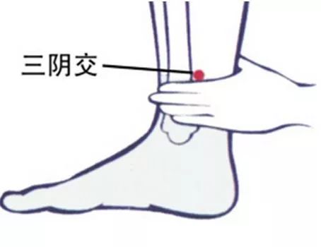 秦敏教授：&OpenCurlyDoubleQuote;寒從腳起&rdquo;天涼腳先冷 冬病秋防多泡腳