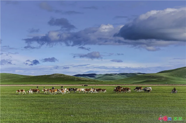 行攝草原丨盛夏走進清涼草原 感受悠閒夏日時光 行攝草原丨盛夏走進清涼草原 感受悠閒夏日時光