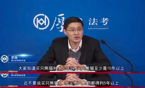 買錯鸚鵡也犯法？只有三種鸚鵡可以合法飼養