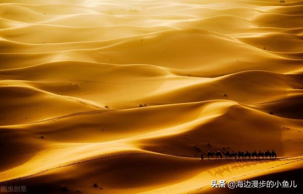 為什麼《菜根譚》叫“菜根譚”