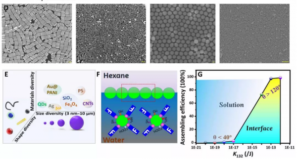 粒子組裝效率高達97.5%!中國學者提出超快速組裝術 粒子組裝效率高達97.5%!中國學者提出超快速組裝術
