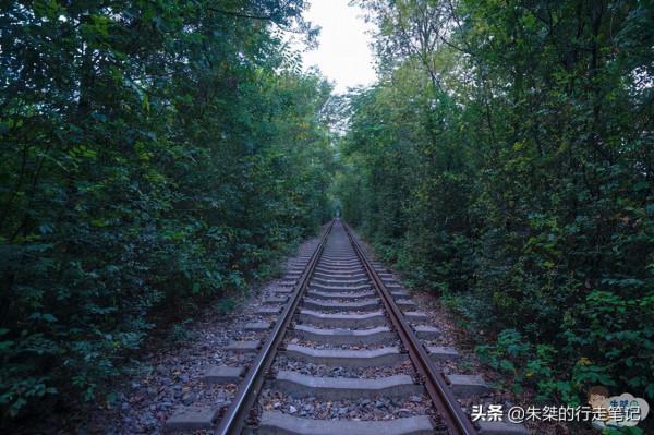 共賞皖美中秋月，2天時間去發現肥東不一樣的風景