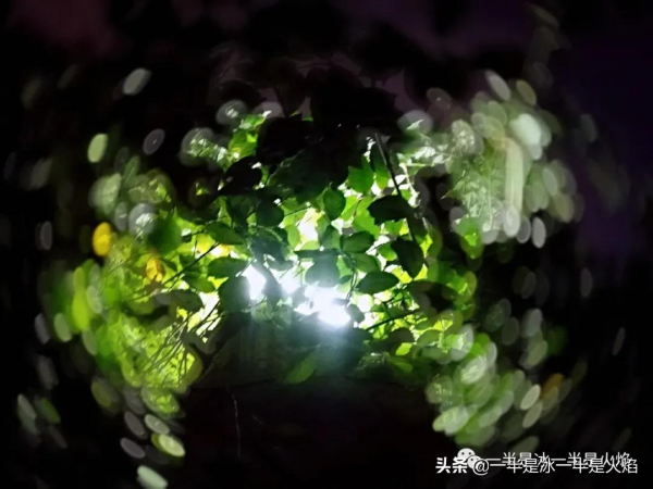 中秋：陰晴圓缺都休說，且喜人間好時節