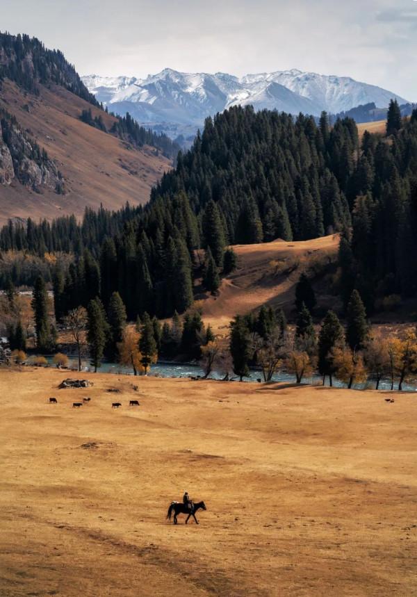 一年只開5個月！新疆最美公路通車在即，一天四季，濃縮震撼之美
