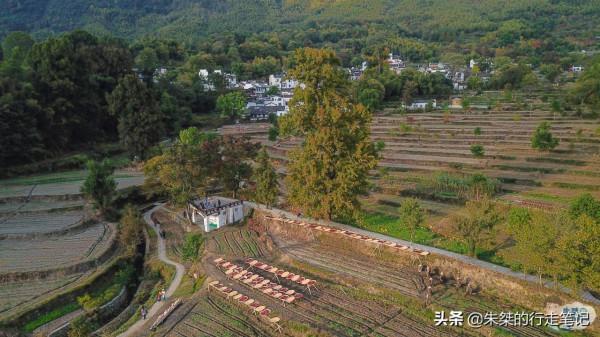 國內秋韻最濃的幾個地方,有山有水有古村落,哪一處你最中意? 國內秋韻最濃的幾個地方,有山有水有古村落,哪一處你最中意?