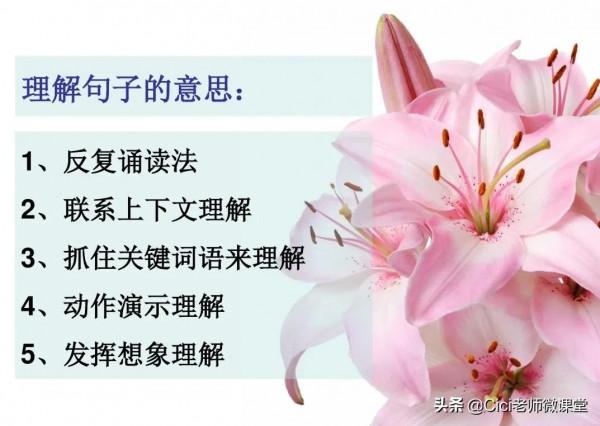 部編語文三年級上冊，體會句子含義專題練習，期末複習