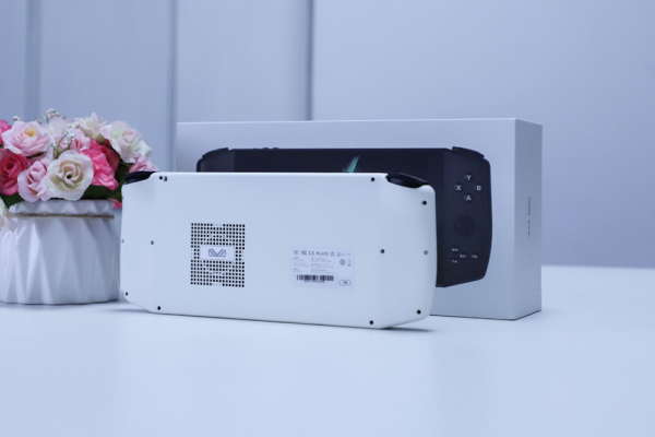 改變3A大作暢玩模式,AYANEO 2021Pro掌機體驗 改變3A大作暢玩模式,AYANEO 2021Pro掌機體驗