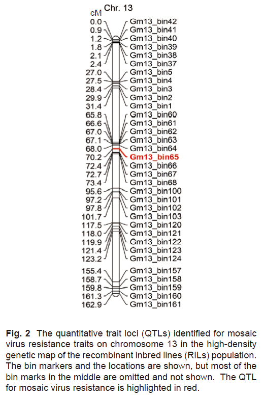 大豆花葉病毒病抗性基因Rsc18精細定位和遺傳分析