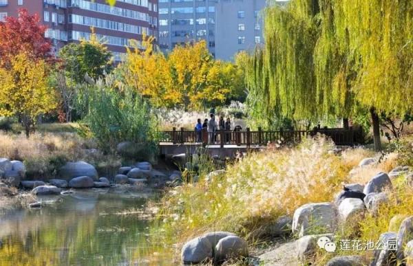 【FENG景】創森動態 | 蓮花池公園多彩的秋天