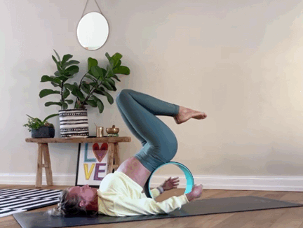 被譽為輔具神器的-瑜伽輪,你會用嗎?(附練習序列) 被譽為輔具神器的-瑜伽輪,你會用嗎?(附練習序列)