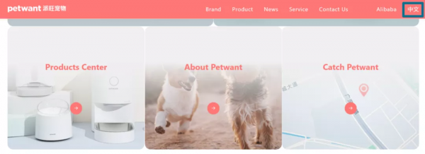 我花費2個月調研了64個出海寵物品牌(下) 我花費2個月調研了64個出海寵物品牌(下)