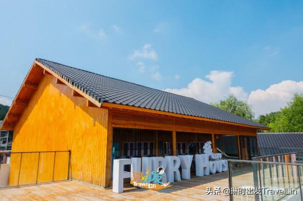 不去日本也能看“貓島”啦:大吉祥村貓公館 不去日本也能看“貓島”啦:大吉祥村貓公館