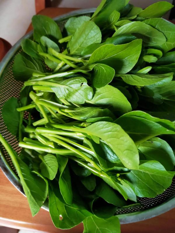 農村就是好，哪裡都能找到菜