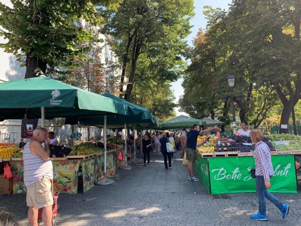 2019暑假塞爾維亞、波黑之旅（2）