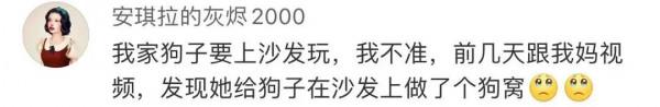 不養寵物你都不知道，它們來了後你的家庭地位能下降到什麼程度