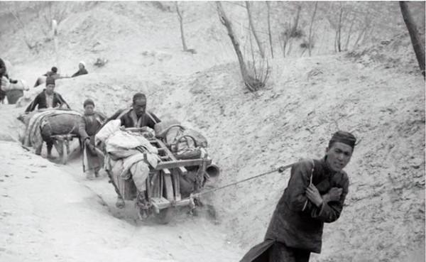 1991年，王震突然收到一封信件，信件：您還記得那1000擔救命糧嗎