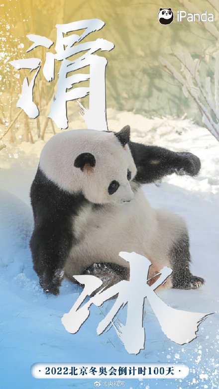 夢幻聯動！當大熊貓變身冬奧運動員