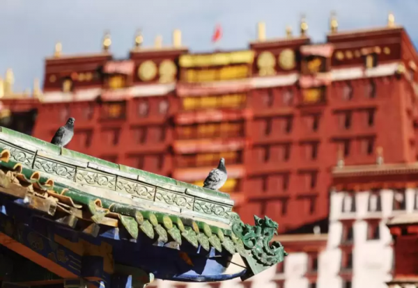 駕賓士SUV探索318（下）：一車一世界