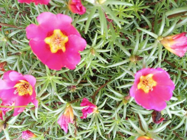 老年人秋季要“早臥早起”，對身體健康有好處