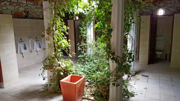 10年深度+豪華遊玩60國