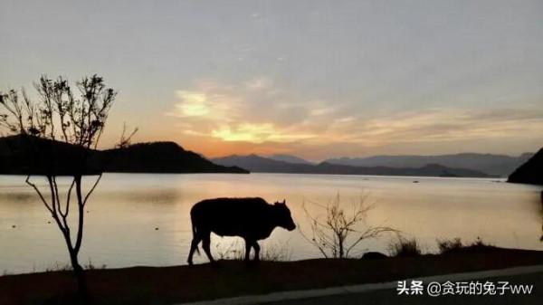 有些美好，只能留給昨天