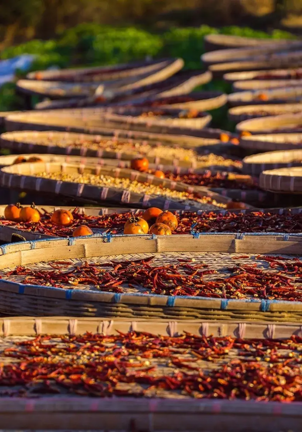 12月必去的7個古鎮,每一個都美到不想離開,閒了就去小住幾日吧 12月必去的7個古鎮,每一個都美到不想離開,閒了就去小住幾日吧