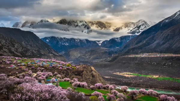 這是我今年的旅行計劃，想抄作業的一起來