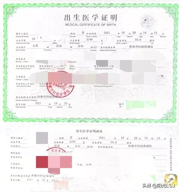 收穫滿滿的2021 收穫滿滿的2021