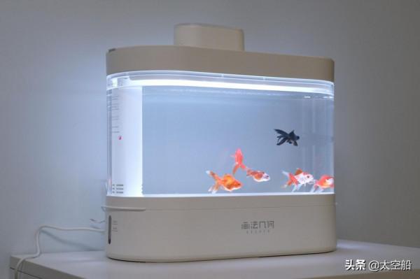 小魚缸也有高配置，畫法幾何智慧兩棲生態底濾缸初體驗