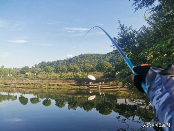 釣到大魚總是“拔河”？記住這3個步驟，大大地減少跑魚