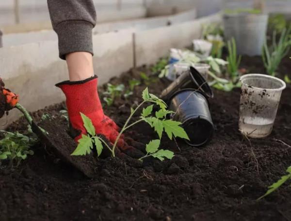 二陳丸——有形無形之痰溼