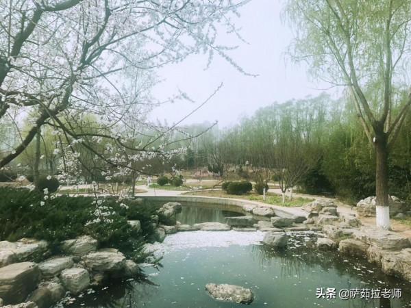 2021級訓練營21 | 抱歉，我不能揹著你飛翔