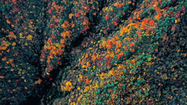 相約龍潭大峽谷,感受它的雄闊與深幽之美 相約龍潭大峽谷,感受它的雄闊與深幽之美