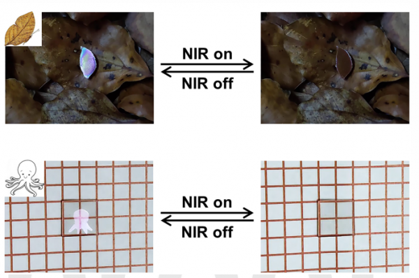 上海交大團隊開發視覺偽裝系統:可應用於生態監測等方面 上海交大團隊開發視覺偽裝系統:可應用於生態監測等方面