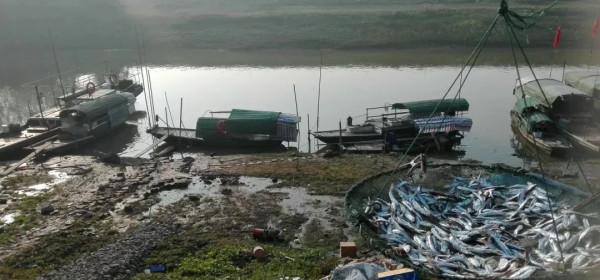 關於呼籲復建大通古鎮景區老“陽橋”的建議