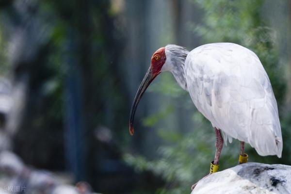 世界上五個國家的寶貝嘎達,還是我們的最“萌” 世界上五個國家的寶貝嘎達,還是我們的最“萌”