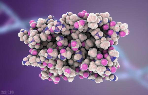 為什麼肝癌早期診斷要查甲胎蛋白?升高意味著肝癌嗎?真不一定 為什麼肝癌早期診斷要查甲胎蛋白?升高意味著肝癌嗎?真不一定