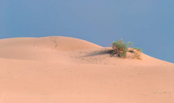 此生必去的新疆怎麼玩？看完這篇就夠了
