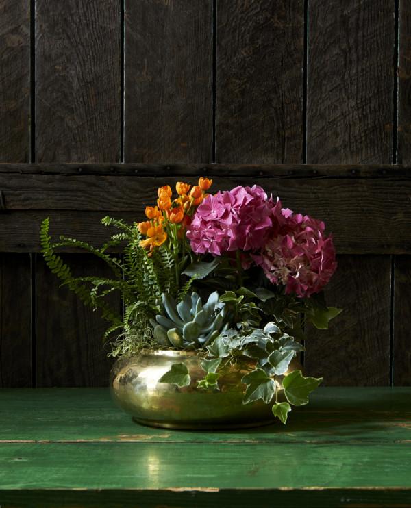 50個庭院植物搭配,幫你設計出絕美的治癒系小花園,收藏啦 50個庭院植物搭配,幫你設計出絕美的治癒系小花園,收藏啦