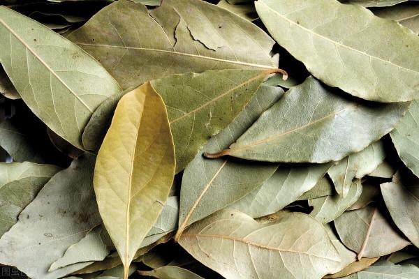 烹飪中常見的15種香料,你都懂嗎?搞清楚用法,讓你廚藝突飛猛進 烹飪中常見的15種香料,你都懂嗎?搞清楚用法,讓你廚藝突飛猛進