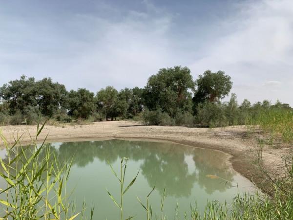 大美新疆（十）羅布人村