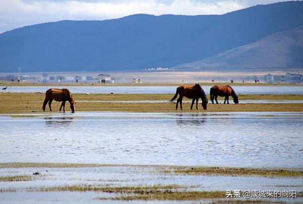 這條徒步線路太美了，這線路適合想去而沒有去過高原的人