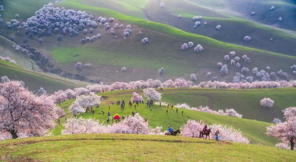 超出你想象的空中草原