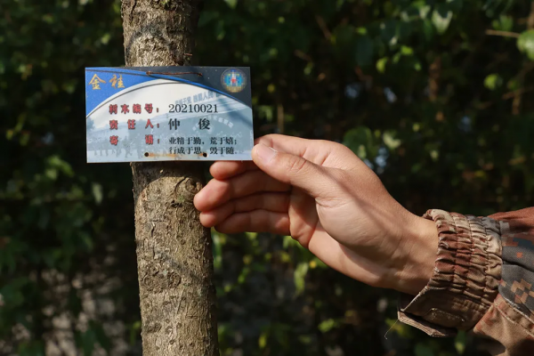 仲教頭的軍旅倒計時