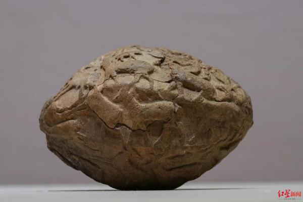 記賬本、畫眼線、蛋糕裙……這場展覽把古敘利亞搬來了成都