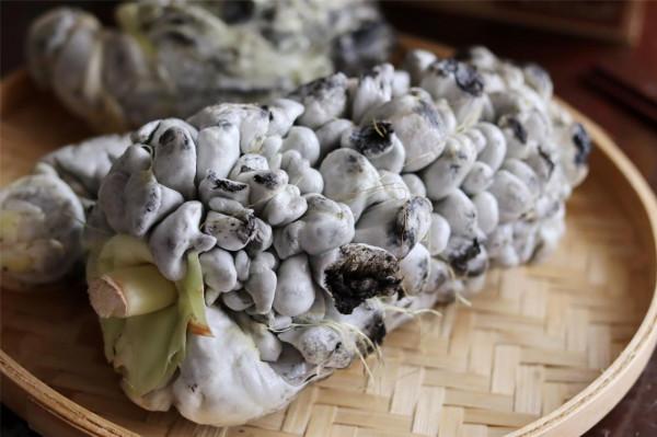 玉米、高粱上長的“稀罕”食材，吃過的人不多，是難得的好東西